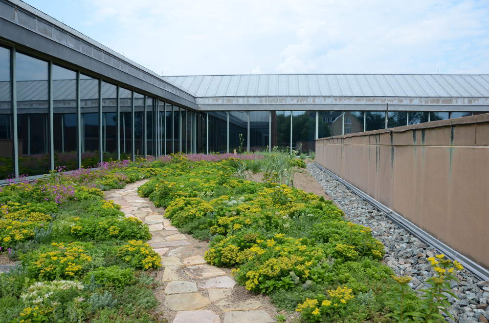 National Foreign Affairs Training Center Green Roof
